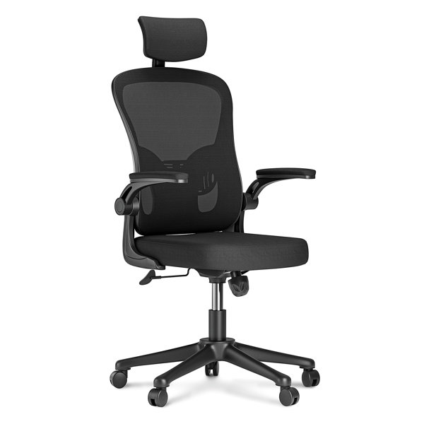 Inbox Zero Kanyon Ergonomic Mesh Task Chair Wayfair Canada